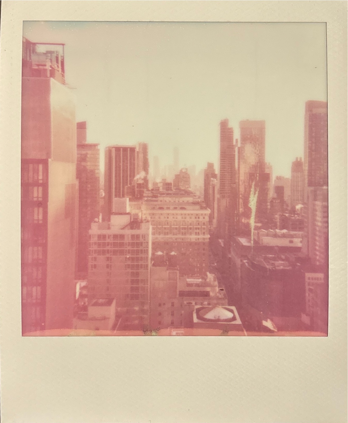 Polaroid photograph 02