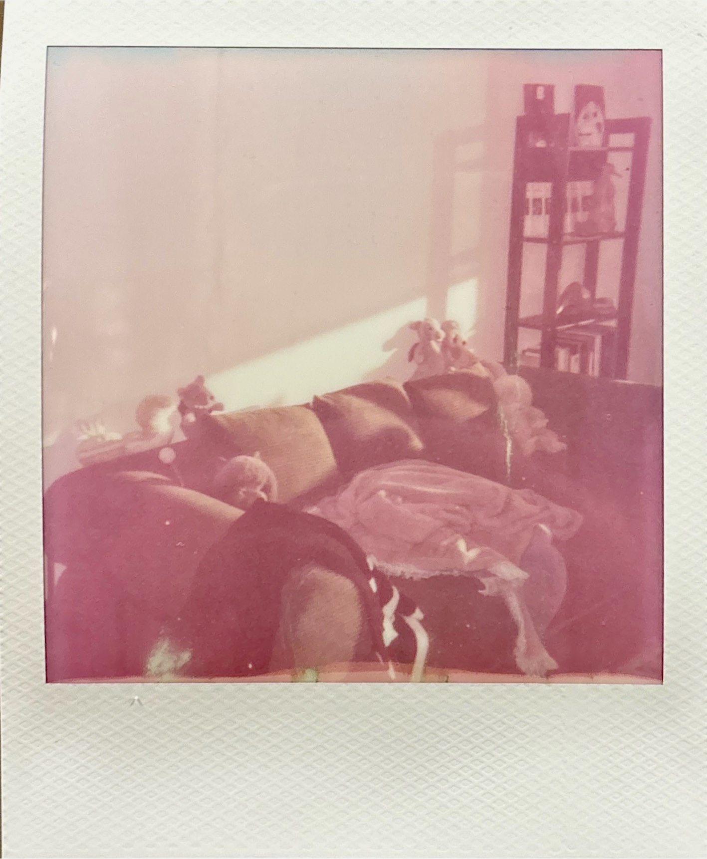 Polaroid photograph 04
