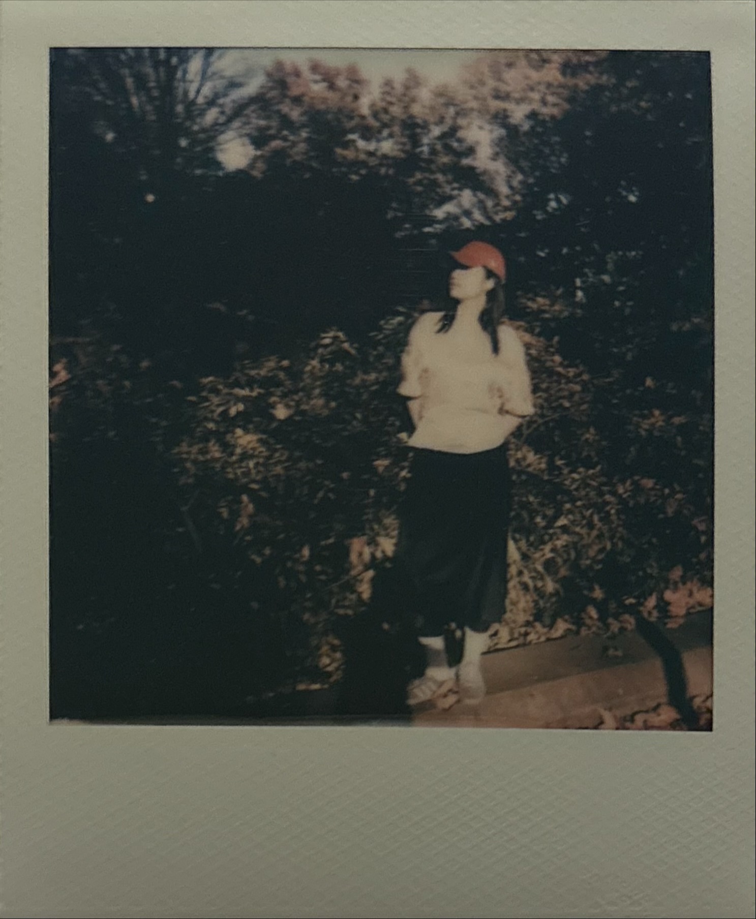 Polaroid photograph 06