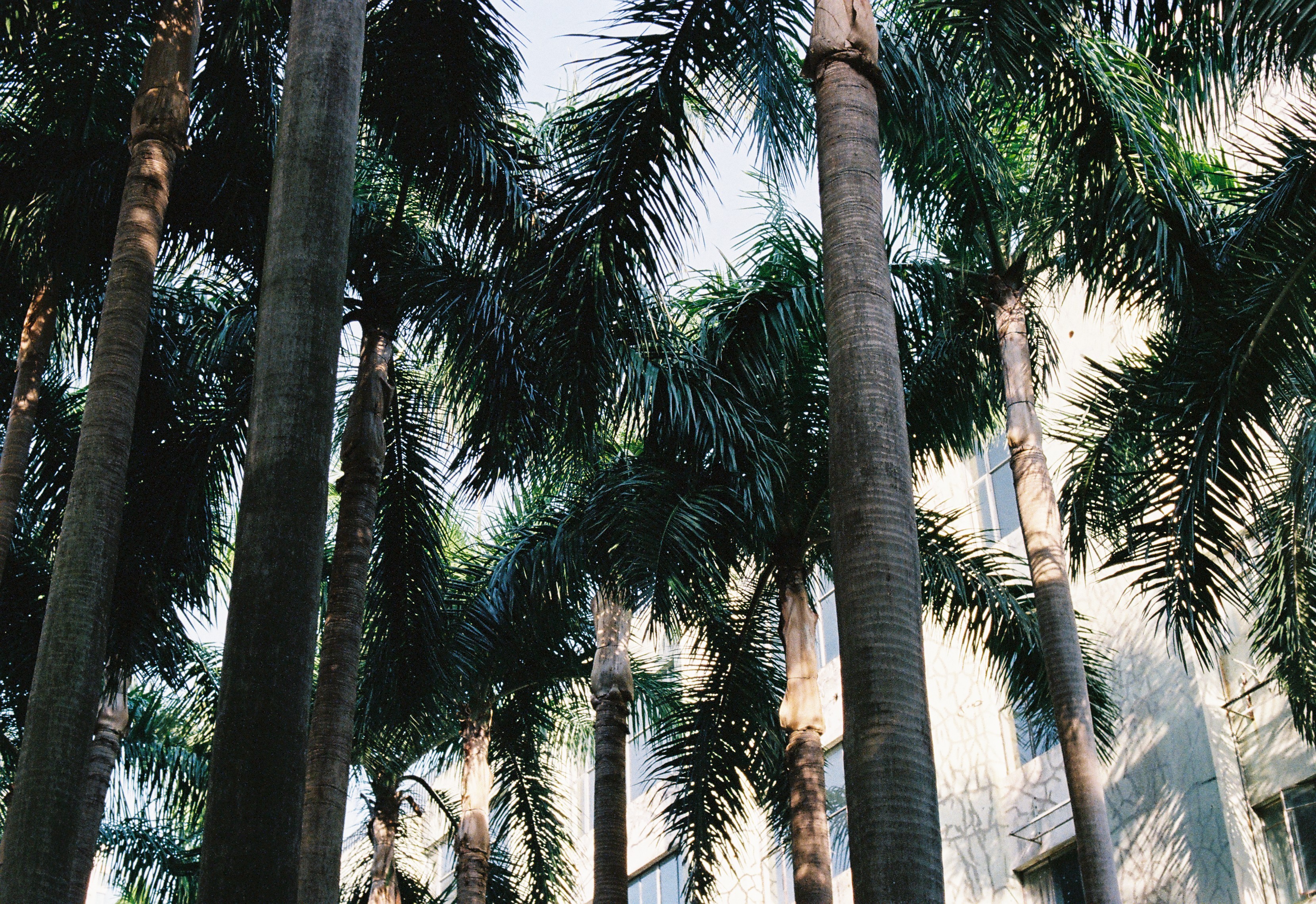 Street photograph 02