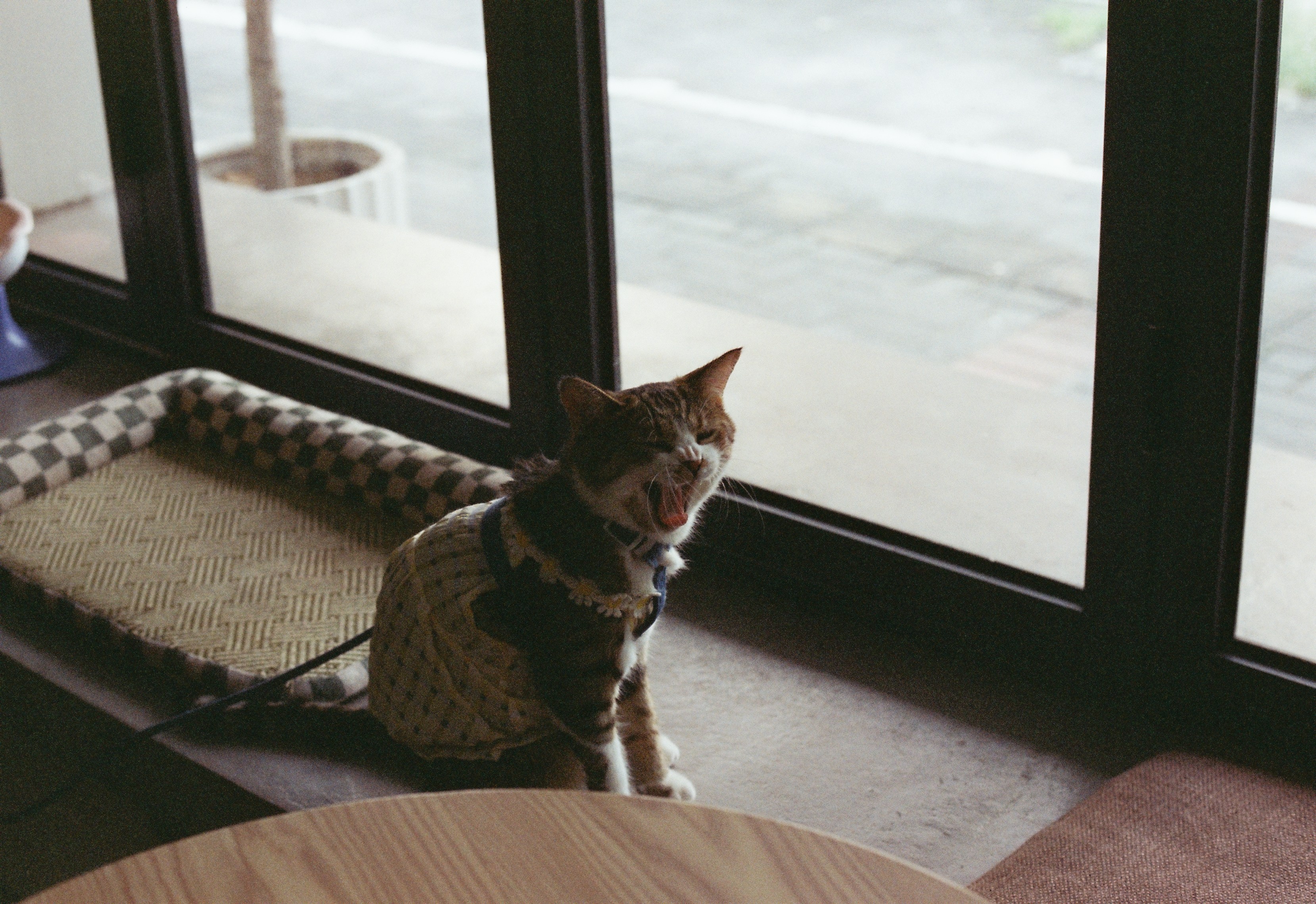 Street photograph 13